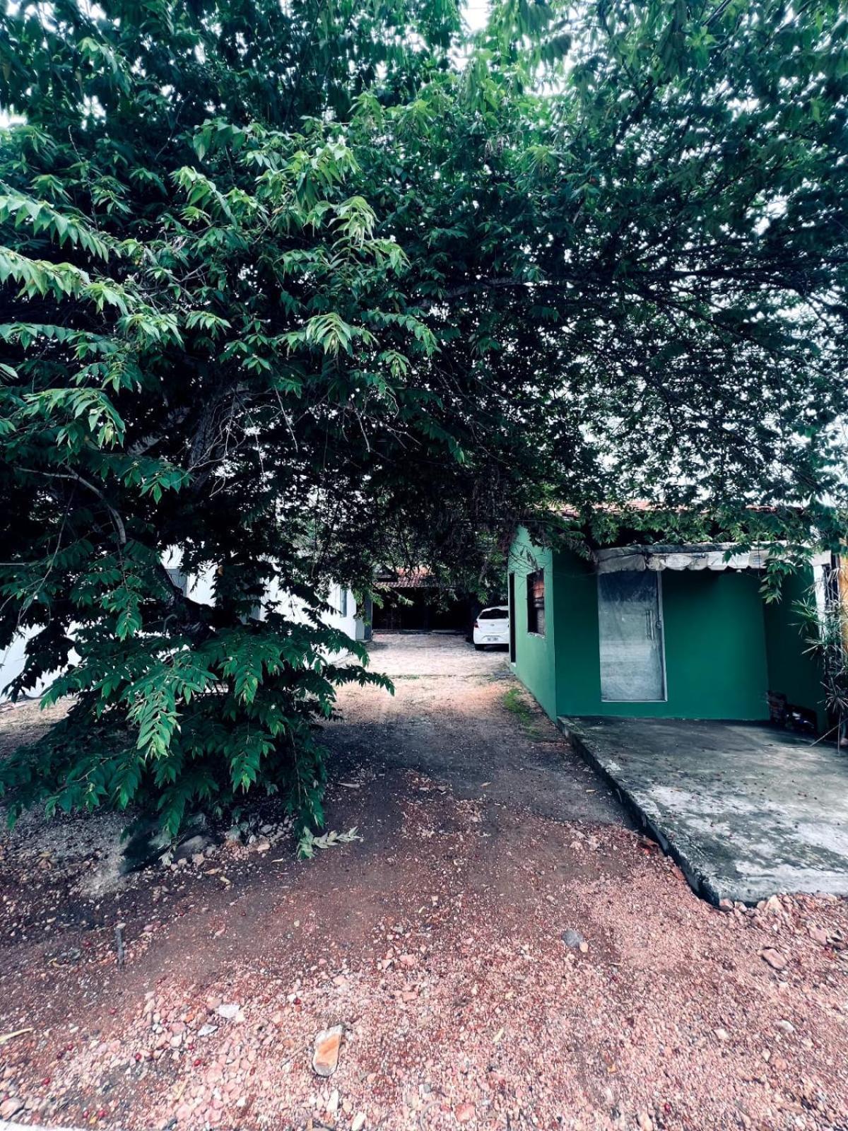 Casa Tamboril Lejlighed São Jorge Eksteriør billede